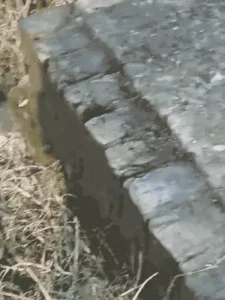 गोरखपुर में भाई ने बहन को अफेयर के नाम पर नहर में डुबोकर मार डाला: भाई बोला- ‘परिवार की इज्जत बचाई, पछतावा नहीं’