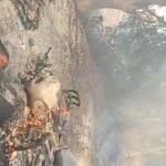 देवरिया हादसा: धुएं की चादर बनी मौत का फंदा, ट्रक से टकराई बाइक तो जिंदा जल गया युवक, मासूम बच्चा बाल-बाल बचा