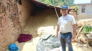 नया भूसा पशुओं के लिए हो सकता है जानलेवा, देवरिया के पशु अधिकारी ने दी चेतावनी; जानिए भूसा खिलाने के 5 जरूरी नियम